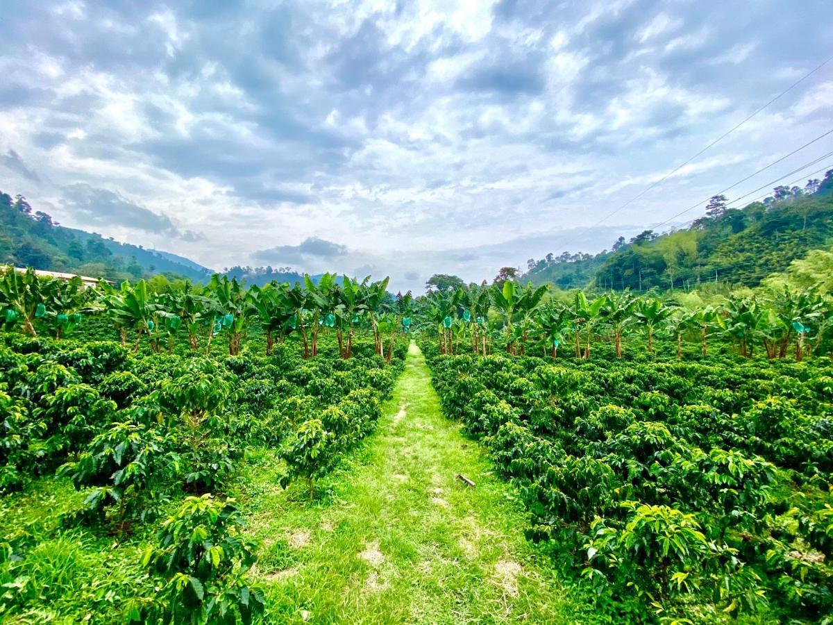 Hacienda Venecia Coffee Farm Hotel San Peregrino Exterior foto