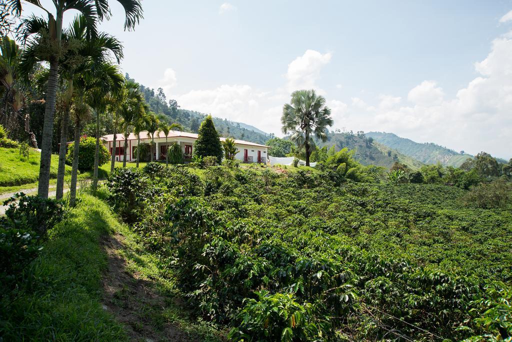 Hacienda Venecia Coffee Farm Hotel San Peregrino Quarto foto